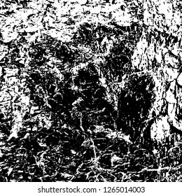 A monochrome grunge texture. Black and white abstract background