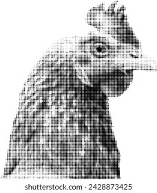 Monochrome halftone drawing of a chicken head with Beak and Feathers on a white background. vector illustration