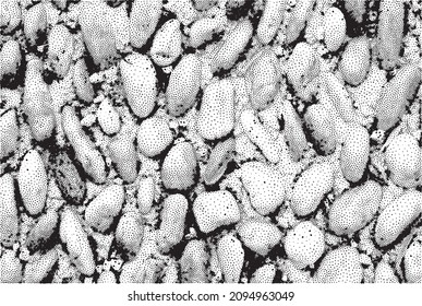 Patrón de piedras de medio tono monocromo - estructura de guijarros como puntos aislados en el fondo