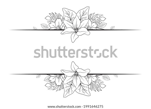 Monochrome Hand draw flower foliage blossom
border ornament
decorative
