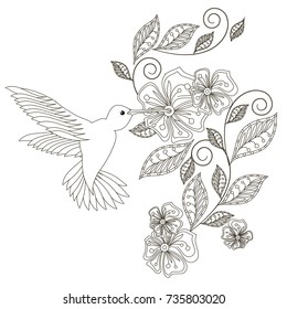 Monochrome hand drawn decorative floral element, hummingbird for coloring page, print, tattoo stock vector illustration