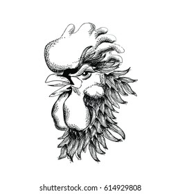 Monochrome hand drawn rooster. Vector illustration.