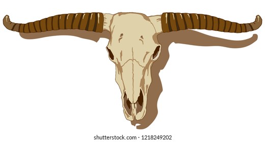 Monochrome hand-drawn skull.For tattoos and posters.Vector illustration. 
