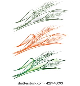 Monochrome hand-drawn vector illustration of a few ripe and young green wheat ears with leaves.