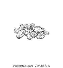 Monochrome handful of almonds sketch style, vector illustration isolated on white background. Hand drawn organic food product, decorative design element, outline