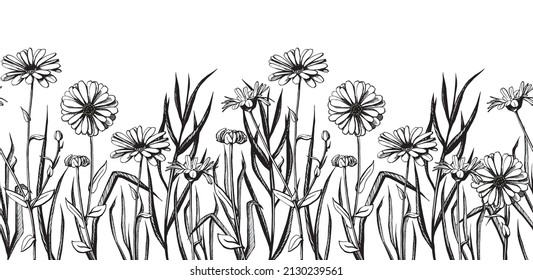 Monochrome hand-painted chamomile flowers and field grass. Horizontal border seamless pattern. Vector illustration.