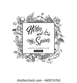 Monochrome herbs and spices background for medical brochures, cookbooks. Botanical illustration. Vector eps 10 format.