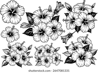 Coleção de flores de hibisco monocromático com arranjo floral elegante com várias flores de hibisco e deixa uma obra de arte botânica adequada para vários propósitos de design e projetos criativos