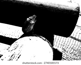 Monochrome high contrast illustration of a beetle on a bamboo bench. Artistic black and white nature graphic featuring insect life and rustic wood textures.