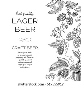 Monochrome hop ornament card with hop blossom in the vertical background to the right and words lager beer of best quality to the left hand drawn doodle vector illustration