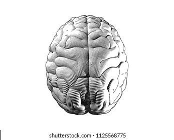 Monochrome human brain top view engraving illutration isolated on white background