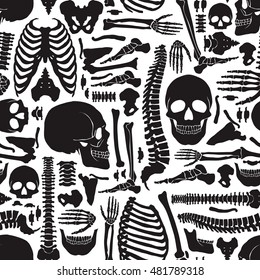 Monochrome human skeleton seamless pattern with big skulls and various single bones flat vector illustration