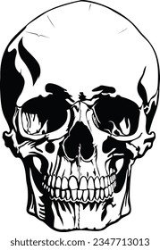 Monochrome human skull: a timeless symbol, stark yet intricate, encapsulating mortality and mystery.