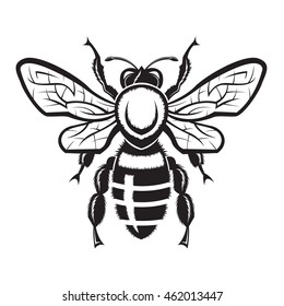 monochrome illustration with bee