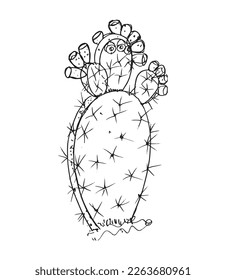 Monochrome illustration of cactus in sketch style. Hand drawing in art ink style. Black and white graphic.