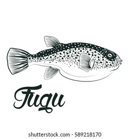 Monochrome illustration of  fugu fish isolated on white background, vector