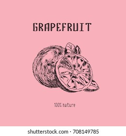 monochrome illustration with grapefruit