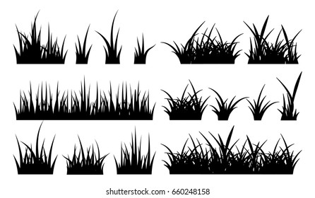 Monochrome illustration of grass. Vector silhouettes