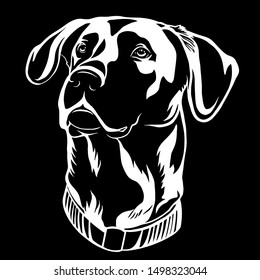 a monochrome illustration of hunting dog Black and white