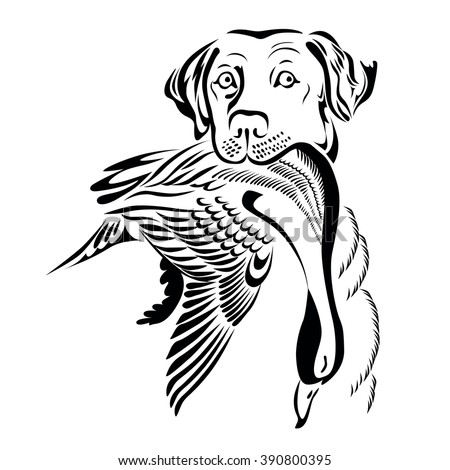 a monochrome illustration of  hunting dog with a duck