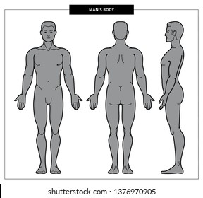 Monochrome Illustration Of Men's Body And Male Anatomy. Front, Back And Side View. Outline Vector Illustration - Vector.