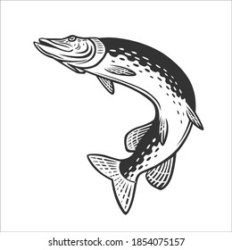 Monochrome illustration with a pike for design on a fishing theme.