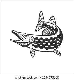 Monochrome illustration with a pike for design on a fishing theme.