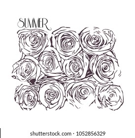 Monochrome illustration of roses isolated on white background. Vector.