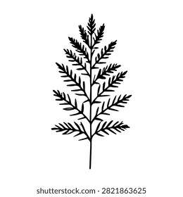 A monochrome illustration showcasing a pine tree branch with detailed needle structure, isolated on a white background for botanical or nature themes.