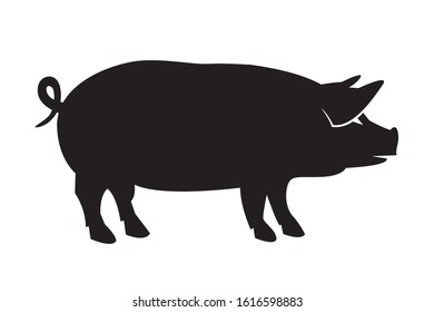 monochrome illustration with silhouette of pig isolated on white background