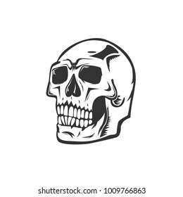 Monochrome illustration of skull. On white background.