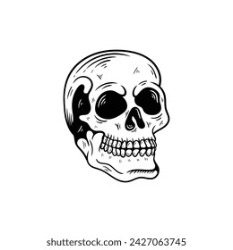 Monochrome illustration of skull. On white background
