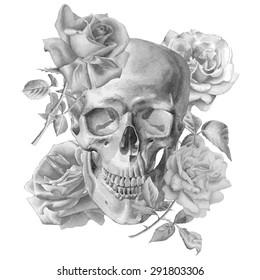 Monochrome illustration with skull and roses. Watercolor. Vector. Hand drawn.