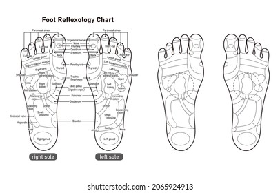 It Is A Monochrome Illustration Of The Sole Reflex Zone.Easy-to-use Vector Material.