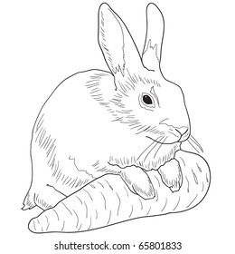 Monochrome image of a rabbit with a carrot