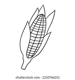 Monochrome image, ripe corn cob, vector illustration in cartoon style on a white background