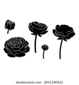 A monochrome image showcasing different types of blooming flowers in silhouette style, emphasizing their shapes and structures.