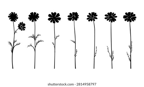 A monochrome image showcasing a row of dandelion flowers in various stages of bloom, emphasizing natural floral beauty and growth.