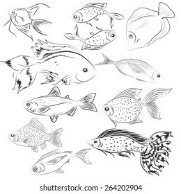 Monochrome images of fish