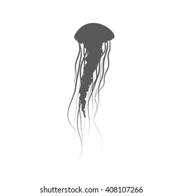 Monochrome jellyfish floating in space. Gelatinous jellyfish with long tentacles isolated on white background. Marine creature floating in water. Inhabitant of underwater world. Vector illustration