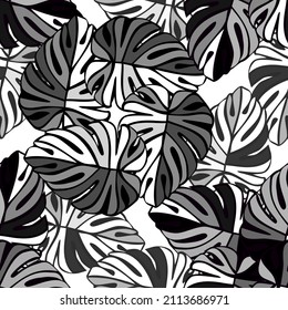 Monochrome jungle seamless pattern. Exotic plant. Tropical palm leaves floral background. Design for fabric , textile print, surface, wrapping, cover. Vintage vector illustration