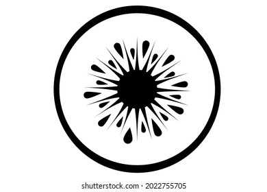 monochrome kiwi fruit slice isolated on a white background.