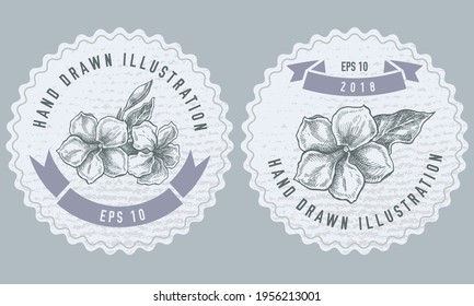 Monochrome labels design with illustration of allamanda