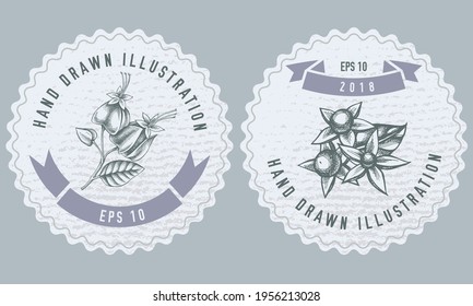 Monochrome labels design with illustration of clerodendrum