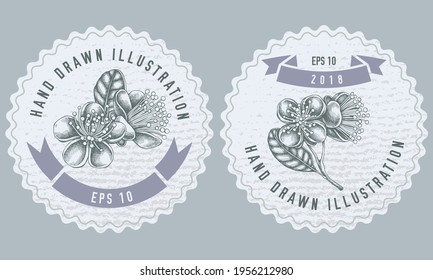 Monochrome labels design with illustration of feijoa flowers