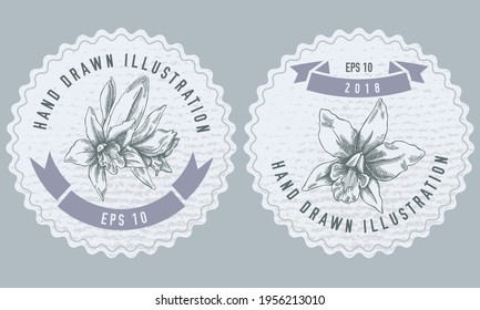 Monochrome labels design with illustration of laelia