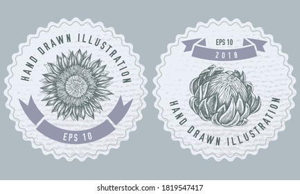 Monochrome labels design with illustration of protea