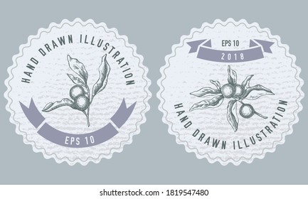 Monochrome labels design with illustration of solanum