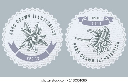 Monochrome labes with edelweiss Vector design with illustration
