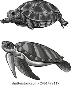 monochrome land turtle and sea turtle on white background